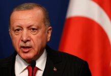 Эрдоган пытается возобновить прямой диалог между Украиной и Россией