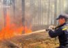 В Чернобыльской зоне тушат масштабный пожар – видео, фото