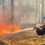 В Чернобыльской зоне тушат масштабный пожар – видео, фото
