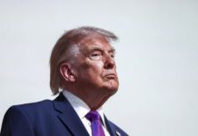 FT: Фонд Ради миру Трампа порожній – внесено нуль доларів