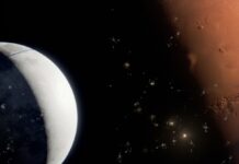 SpaceX Ілона Маска офіційно подала документи для IPO та планує вихід на біржу