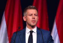 Зачем Петер Мадьяр поднимает вопрос венгров в Украине: объяснение эксперта