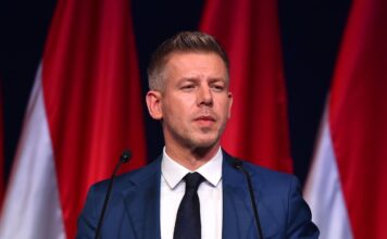 Зачем Петер Мадьяр поднимает вопрос венгров в Украине: объяснение эксперта