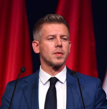 Зачем Петер Мадьяр поднимает вопрос венгров в Украине: объяснение эксперта