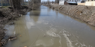 «Здесь даже лягушки не водятся»: мариупольцы показали, во что превратился Кальчик, – ВИДЕО