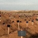 В Мариуполе исследователи разоблачили скрытое массовое захоронение жертв 2022 года