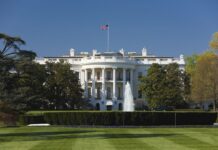 У Трампа начали строить арену для турнира UFC у Белого дома