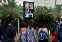 В ВОЗ хотят поставить климатический кризис на один уровень с Covid по угрозе смертности
