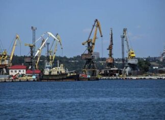 Оккупанты вывезли из порта Мариуполя почти 60 тысяч тонн пшеницы