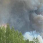 В Чернобыльской зоне отчуждения локализовали лесной пожар