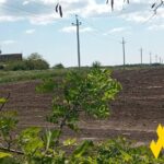 Россияне прячут склады под Мариуполем из-за ударов украинских дронов, — АТЕШ