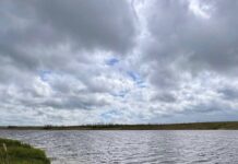 В Мариуполе радуются «возвращению» водохранилищ, — ФОТО