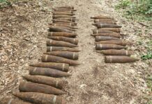 В Берлине в лесу нашли 59 неразорвавшихся советских снарядов времен Второй мировой