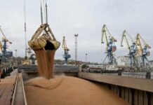 Через порт Мариуполя оккупанты вывезли почти 89 тысяч тонн пшеницы с начала года
