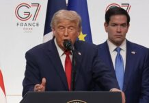 Трамп про Зеленського і Путіна: Вони хочуть щось зробити, але не знають як