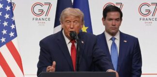 Трамп про Зеленського і Путіна: Вони хочуть щось зробити, але не знають як