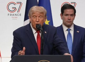 Трамп про Зеленського і Путіна: Вони хочуть щось зробити, але не знають як