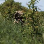 На повернення із СЗЧ за новою схемою подано 500 рапортів, погодили кожен п’ятий – МО
