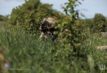 На повернення із СЗЧ за новою схемою подано 500 рапортів, погодили кожен п’ятий – МО