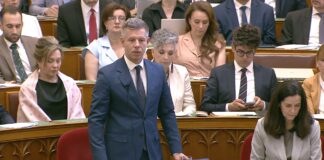 Мадяр: Угорщина попри рішення ЄС дасть прихисток угорцям з України, що їдуть «від війни і призову»