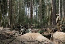 1569 г. день полномасштабной войны. ВСУ в очередной раз подожгли Афипский НПЗ в РФ. Украина смогла усилить ПВО