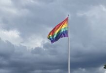 О КиевПрайде и традиционных ценностях