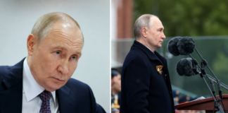 «Запад не даст развалить Россию»: Друзенко о рисках после ухода Путина