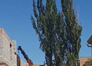 В Мариуполе дом вдруг «исчез» из документов: жители заявляют о новой схеме с бесхозным жильем