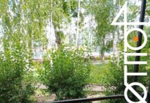 В Донецке появились открытки против цензуры и информационной изоляции, – ФОТО