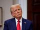 Трамп назвал, кого хочет видеть на месте Линдси Грэма в Сенате США