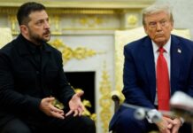 У ювілей незалежності США Зеленський обговорив з Трампом війну