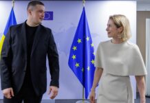 У ЄС заявили: хто б не був міністром оборони України, потрібна стабільна співпраця