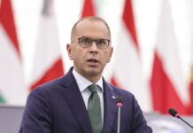 Євродепутат від партії Туска: Кандидат у ЄС не має асоціюватися з геноцидом