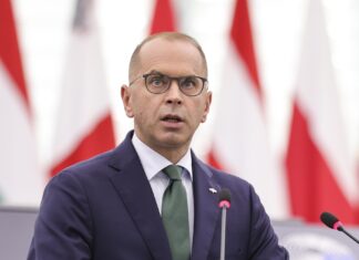 Євродепутат від партії Туска: Кандидат у ЄС не має асоціюватися з геноцидом