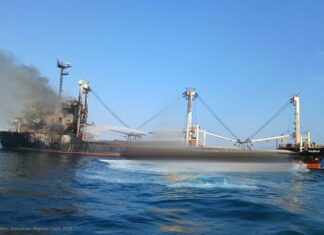 Росія вдарила по судну турецької компанії із зерном: п’ятеро загиблих
