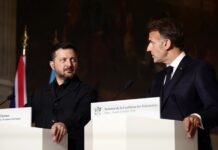 Зеленський запропонував Франції допомогу у гасінні лісових пожеж