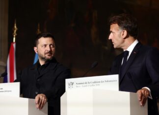 Зеленський запропонував Франції допомогу у гасінні лісових пожеж
