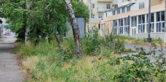 Стало известно, почему в оккупированном Мариуполе не спешат косить траву, — ВИДЕО