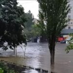 Плывут авто и мусорные баки. Часть Одессы затопило во время сильного ливня (видео)