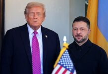 Зеленский и Трамп встретятся на этой неделе