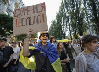 Соціолог пояснив, чому «картонкові протести» не переростають у політичний рух