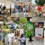 Auchan Україна вдев’яте проводить «Дерево знань» для дітей, які потребують підтримки