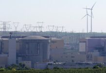 Румунія продовжила роботу своїй АЕС ще принаймні на 9 днів