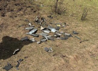 У Молдові неподалік Одещини знайшли уламки, схожі на деталі дрона – фото