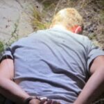 У Словаччині поліція запобігла підпалу заводу з виробництва БпЛА