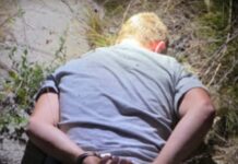 У Словаччині поліція запобігла підпалу заводу з виробництва БпЛА