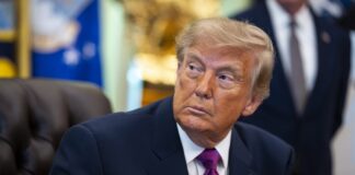 «Жодної проблеми немає». Трамп заявив, що Росія не збирається нападати на НАТО