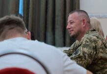 «Звільнитися зі служби – суперечить принципам». Паліса відповів, чи стане послом в США