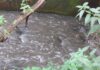 Зенцевый ручей в Мариуполе превратился в вонючую сточную канаву — вода попадает в море, — ВИДЕО