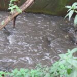 Зенцевый ручей в Мариуполе превратился в вонючую сточную канаву — вода попадает в море, — ВИДЕО